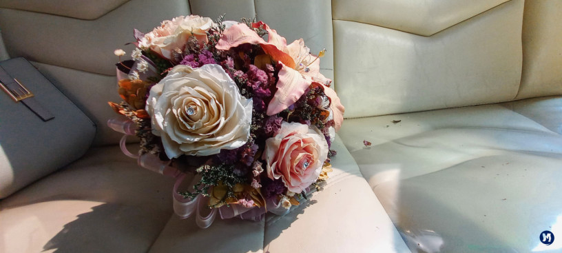 FOTO Y VIDEO PROFESIONAL TULTEPEC