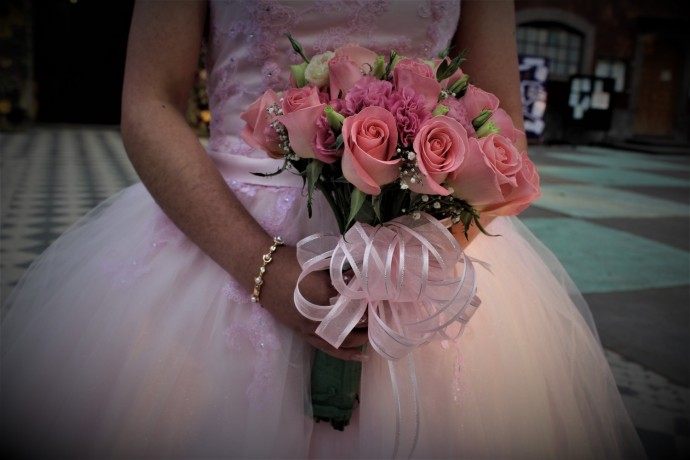 PROFESIONALES FOTO Y VIDEO