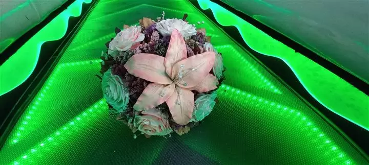 FOTO Y VIDEO PROFESIONAL TEPEJI DEL RIO