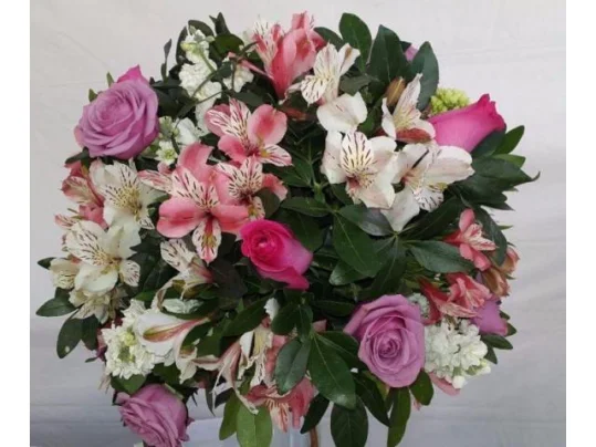 FOTO Y VIDEO PROFESIONAL CHAPANTONGO