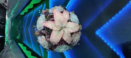 FOTO Y VIDEO  PROFESIONAL HUEJUTLA DE REYES
