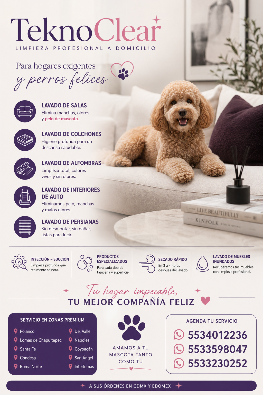#coloniaDoctores #Condesa Lavado de salas, colchones, alfombras, persianas