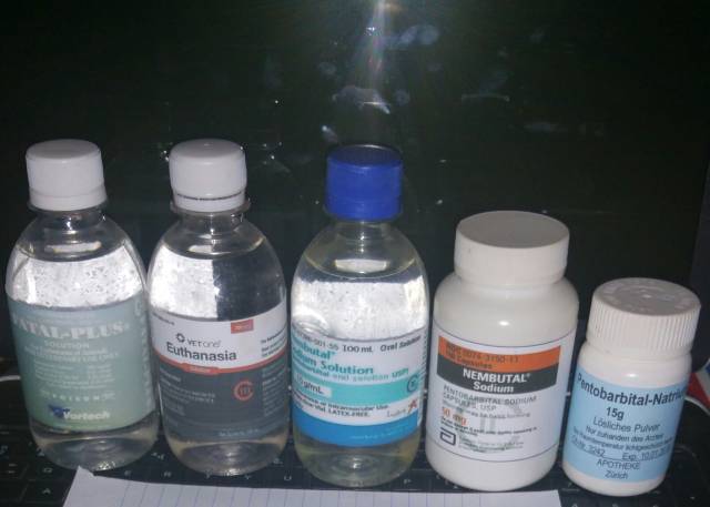 Nembuta pentobarbital/Rubifen con calidad hoy